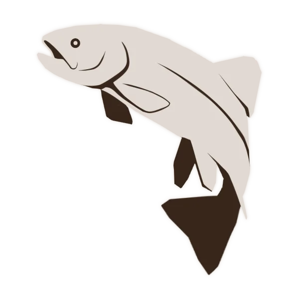 Rainbow Trout in Ecos: La Brea